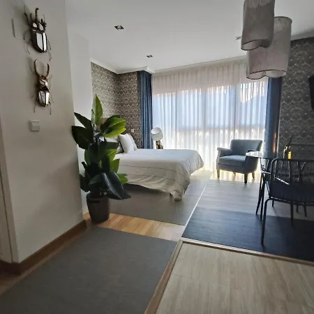 Apartment Loft Rosal 3 Oviedo